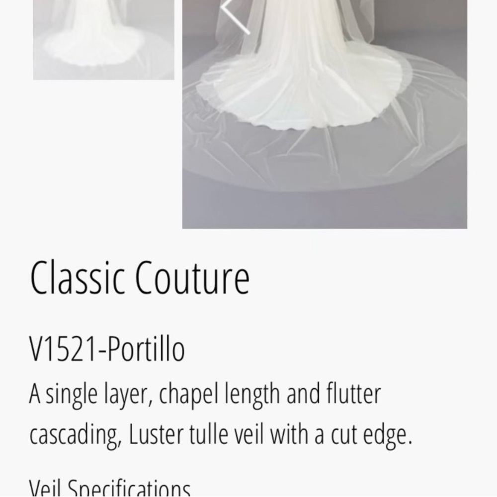 Beautiful Chapel Length Veil